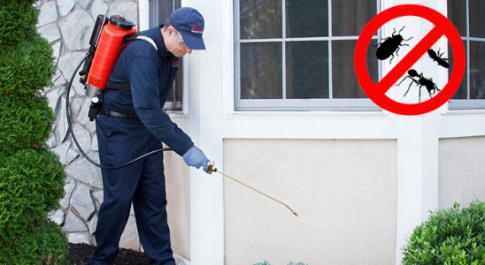 Maden Dezenfeksiyon böcek ilaçlama ve haşere kontrolü — ilaclama-tr.com